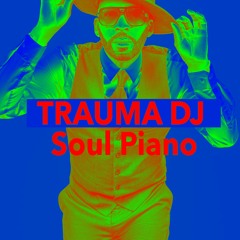SOUL PIANO by TRAUMA DJ