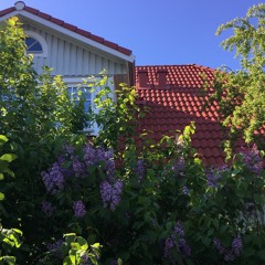 Trækker Dig Op (feat. Sidsel Læbo)