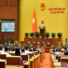 Bản tin thời sự chiều ngày 21/05/2024