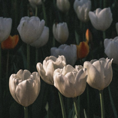 For you - Moon Lovers (🎹 Cover by enmei)