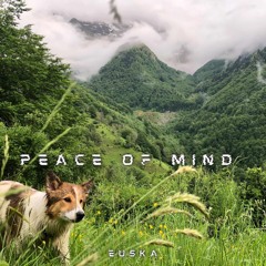 PEACE OF MIND [Hors Série 001]