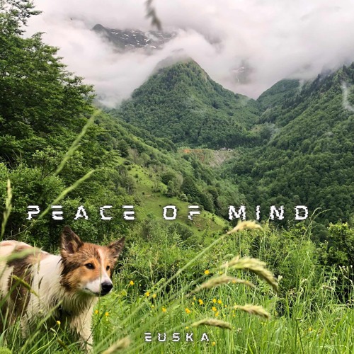 PEACE OF MIND [Hors Série 001]