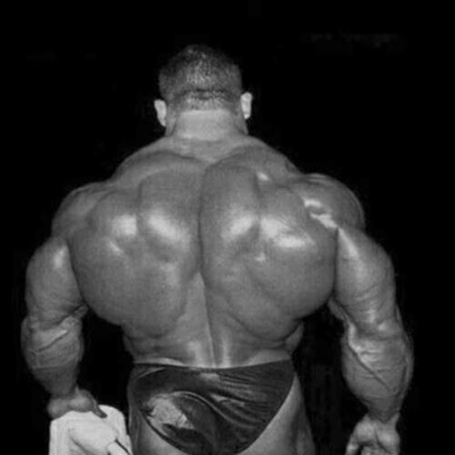 Maurex -Killer x Dorian Yates