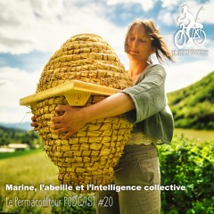 Marine, L’abeille et l’intelligence collective- Le Permacooltour PODCAST #20