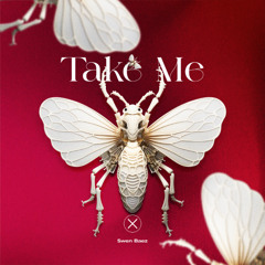 PREMIERE | Swen Baez - Take Me [Axiom Music]