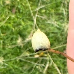 Dobré ránko 🫖🌝