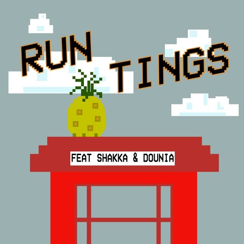 ROMderful & Shakka feat. Dounia - Run Tings