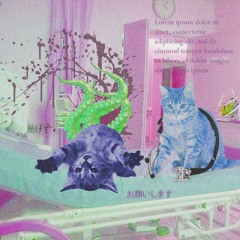 HLASOVA SCHRANKA 420