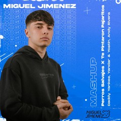 Perros Salvajes X Te Pintaron Pajaritos (Miguel Jiménez Mashup) 96