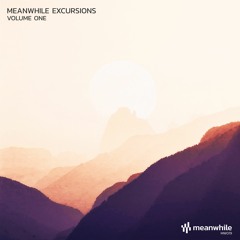 MW019: V/A - Meanwhile Excursions Volume One