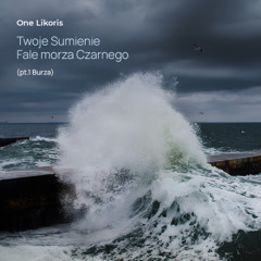 Twoje Sumienie. Fale morza Czarnego (pt.1 Burza)