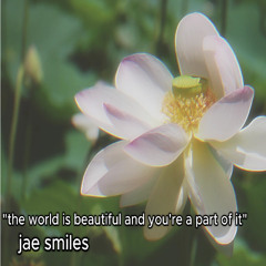 the world is beautiful and you're a part of it