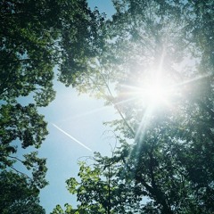 Mugs –古川本舗 Furukawa P