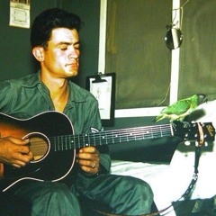 Ring Of Fire (cover) - Guy "Guido" Ventura