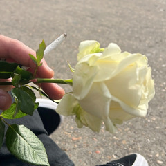 don't let me die (prod. farber)