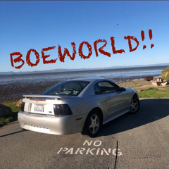 out the bag pt 2 ( FNN x GT) (2017)