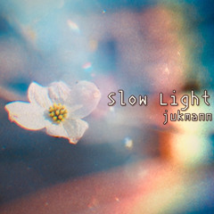 Slow Light