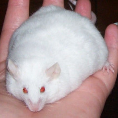 Dead by 30 (fbf cover)