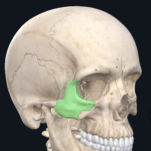 New waVe type beat pseudo TDF 148 BPM/drum5