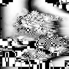 Tranquil Rainforest Meditation