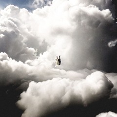 L'oiseau De Paradis ོ