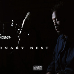 SKEEM - Visionary Nest (freestyle)
