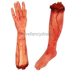 ARM AND LEG