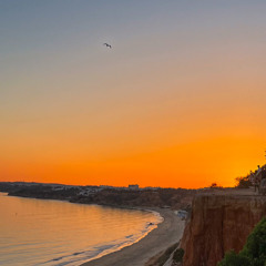 Punchy Afro House for Summer 🎛️🌞