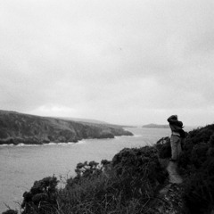 - Junco - 11.18.2025