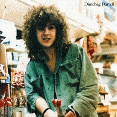 Dimebag Darrell - The Solo We Never Saw Live.wav