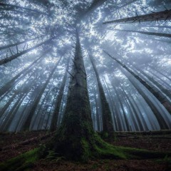 The Epicenter of the Impossible