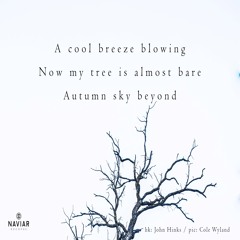 halF cooL [naviarhaiku415]