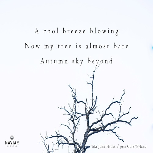 halF cooL [naviarhaiku415]