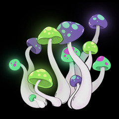 Skarom - Лето/Summer trip (unreleased)