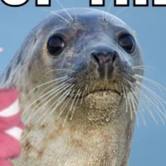 COM381soup Assignment 11