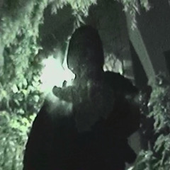 veil