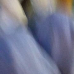 シェパード feat.mosho