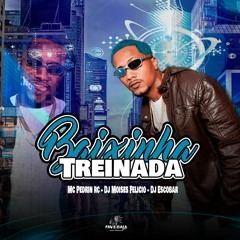 PEDRIN RC - BAIXINHA TREINADA ( DJ´S MOISES FELICIO DJ ESCOBAR ) - ÁUDIO OFICIAL - FAVEBALA MUSIC