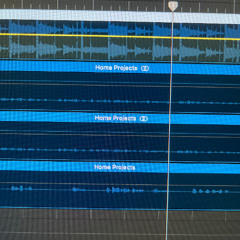 Didn't Wanna Prod. Noizy