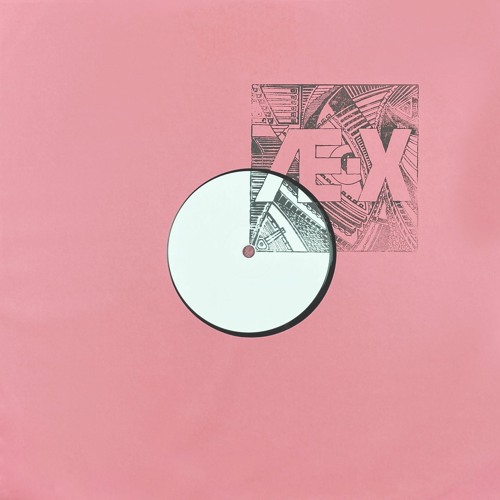 ÆX013 Private Press / Emeline / Human Space Machine / Tetelepta & Jasper Wolff / Kaap / Ignez / DVL