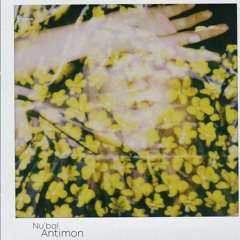 Antimon (original Mix)