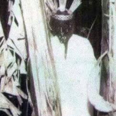 DIA A DIA DE UM SERIAL KILLER