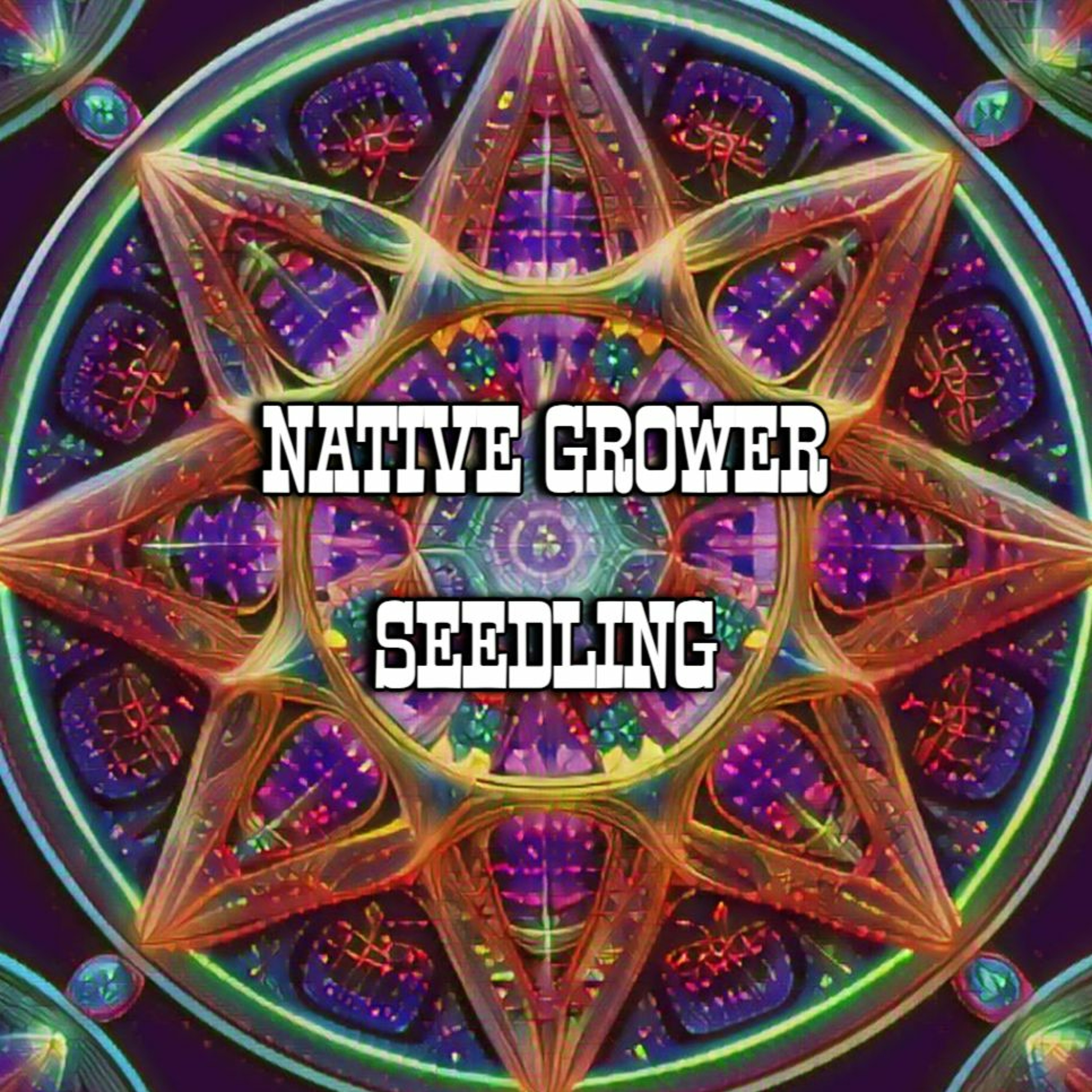 NATIVE GROWER - SEEDLING episode artwork
