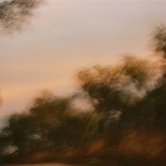 FREE DL