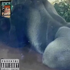 Wonky Walk - GorillaT (RuGrAtFL!P)