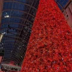 Rockin Christmas .m4a