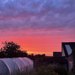 Dovevo fa il militare - Ft Metastasio.m4a
