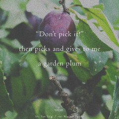 Don't pick it !  *naviarhaiku#623