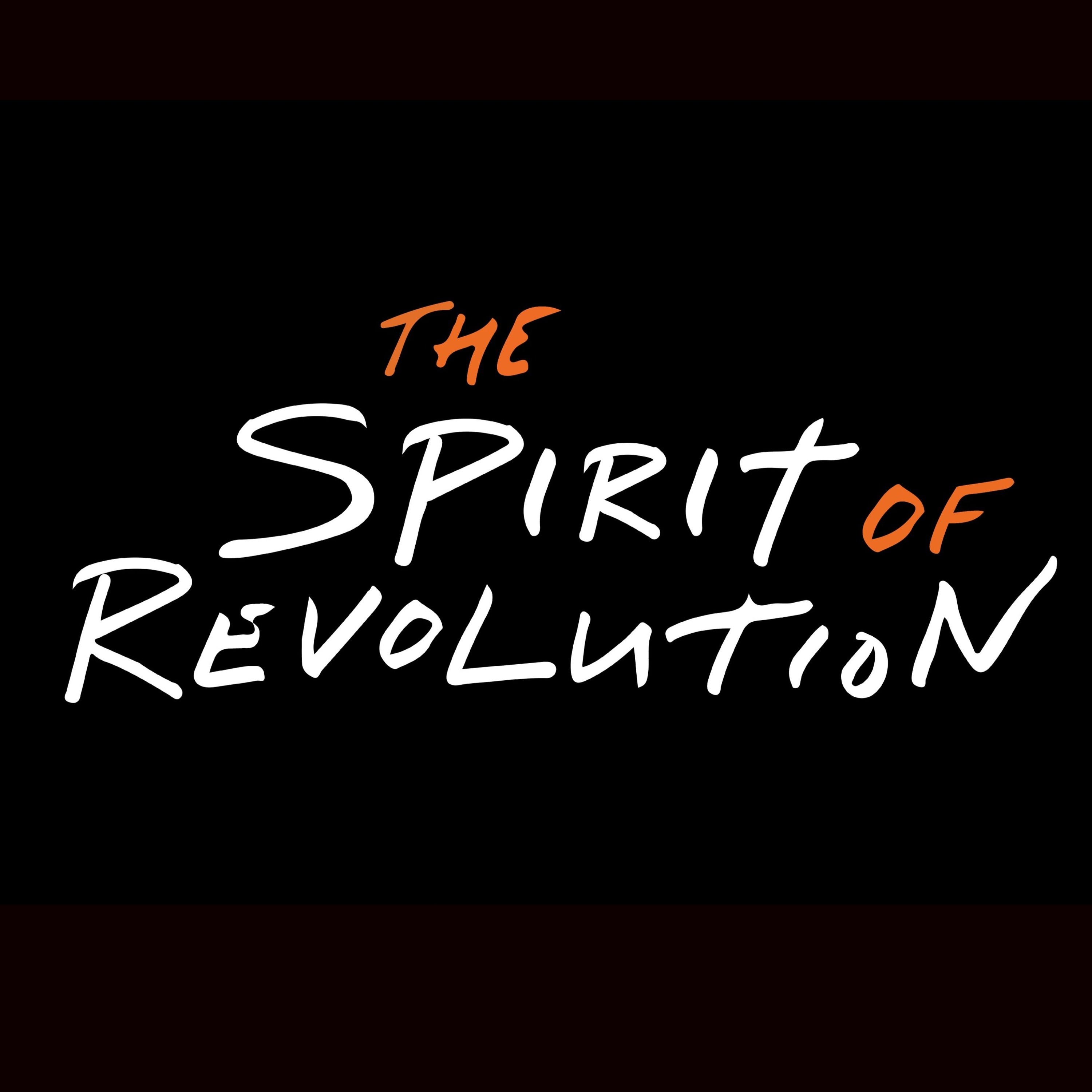 Designing the Revolution