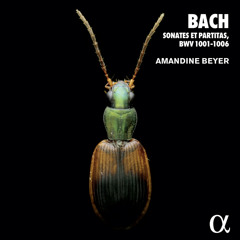 Violin Partita No. 2 in D Minor, BWV 1004: II. Corrente